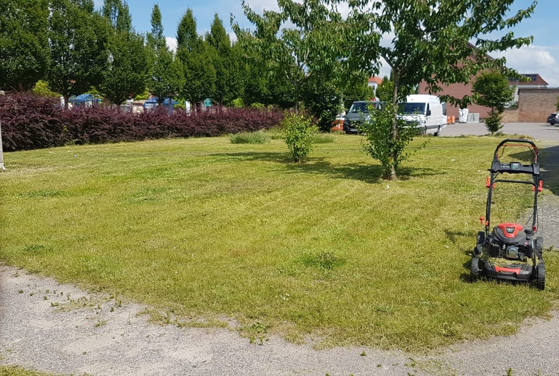 Frisch gemähte Rasenfläche einer Außenanlage – Objektpflege für Gewerbe